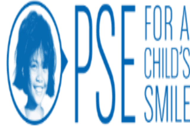 PSE Institute